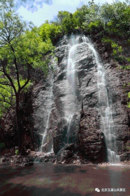 梦想的后院